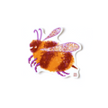 Colorful bee illustration on a white background