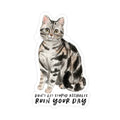 Sticker of a cat with text 'Don't let stupid assholes ruin your day' on a white background