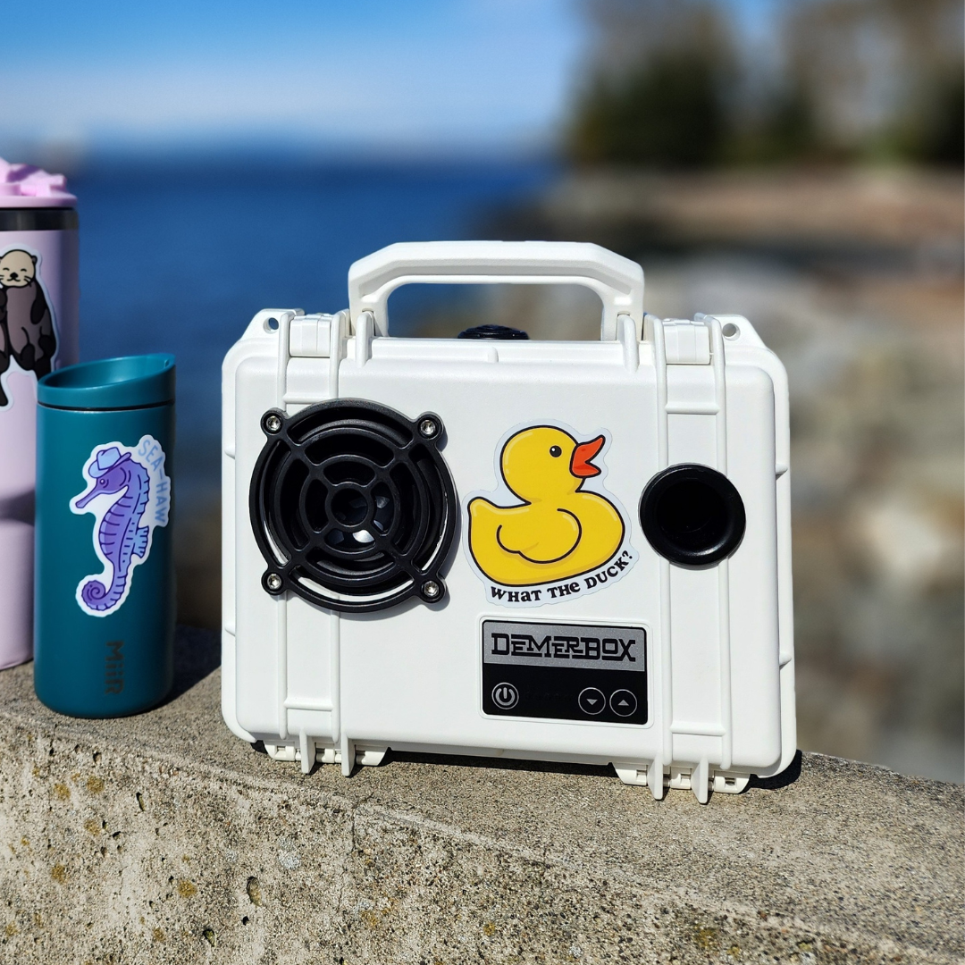 What The Duck Sticker