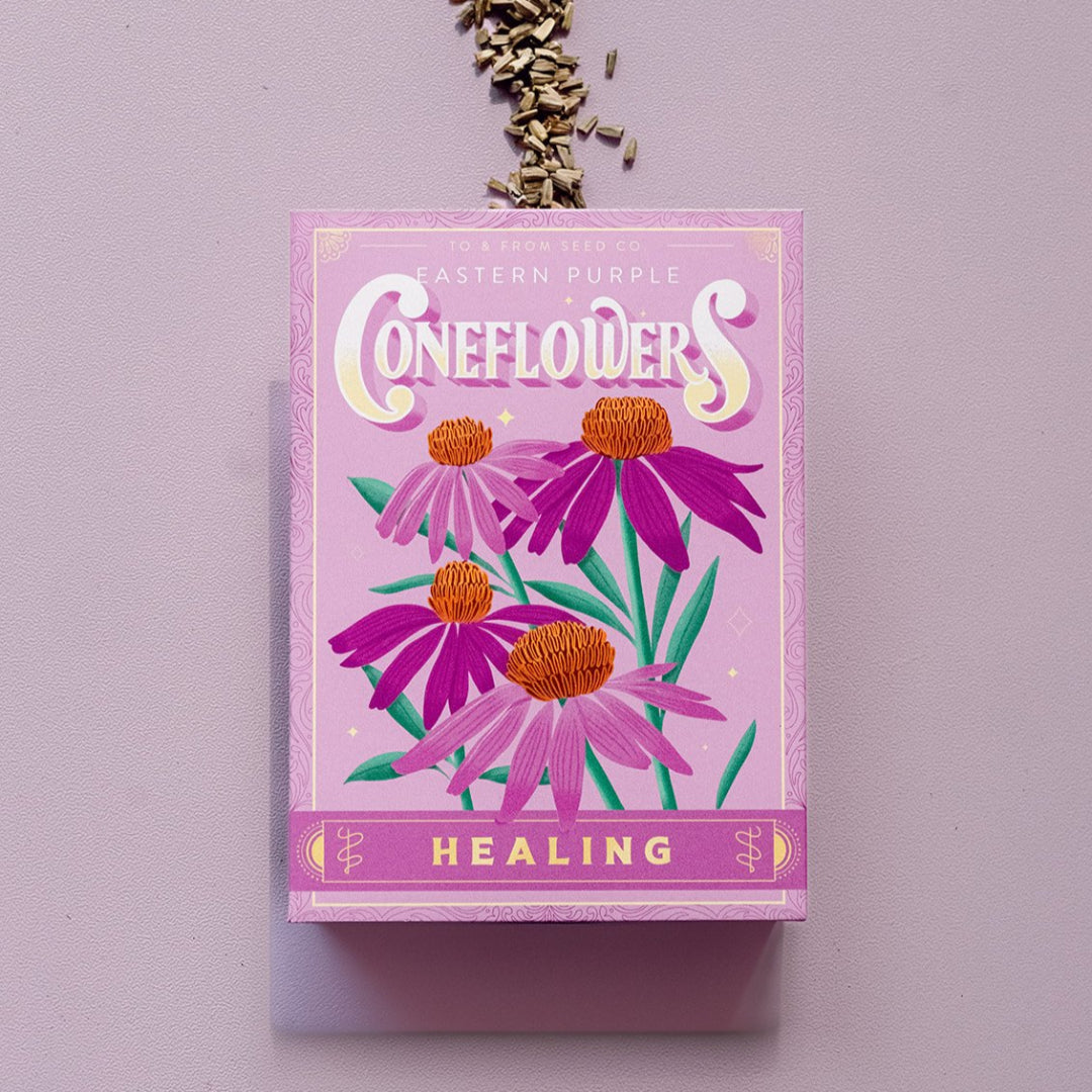 Purple Coneflowers (Healing) Seed Packet