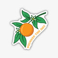 A whimsical sticker depicting a branch with green leaves and white orange blossoms, holding a large, ripe orange. Alongside the orange, the text "SQUEEZE THE DAY" is written in a playful, orange, wavy font. The sticker has a black outline.
