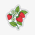 A delightful sticker featuring a sprig with three ripe red strawberries, green leaves, and two white blossoms with yellow centres, all outlined in black.