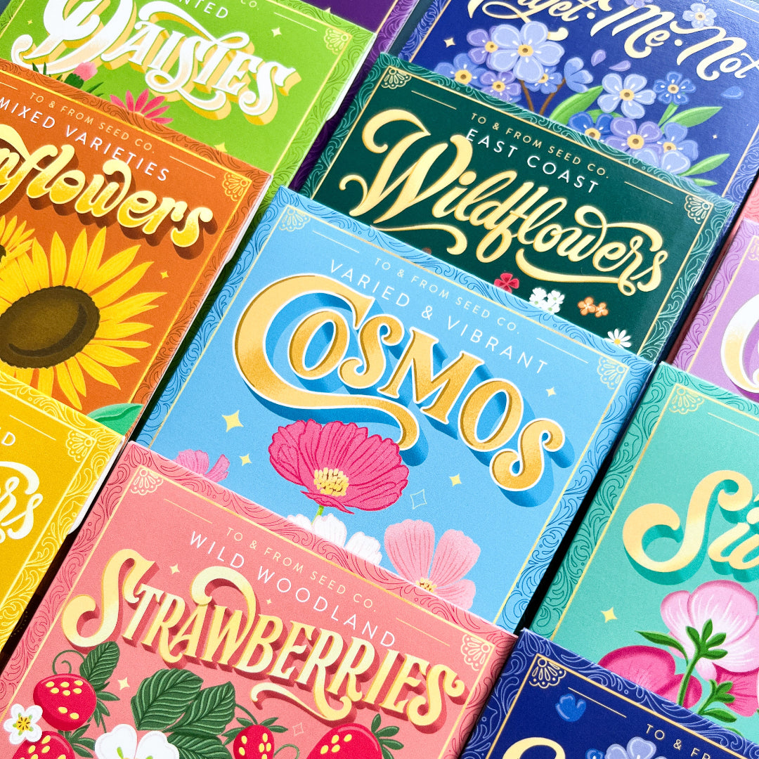 Wild Pink Marsh Rose (Protection) Seed Packet