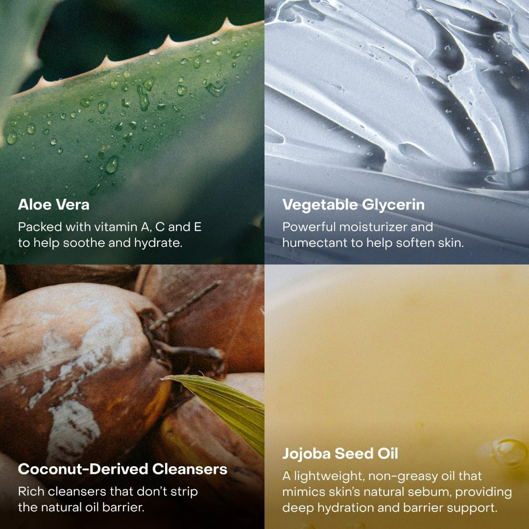 Four quadrants showing aloe vera, vegetable glycerin, coconut-derived cleansers, and jojoba seed oil with descriptive text.
