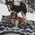 The Thunderbird Reversible Eco-Friendly Blanket by Mini Tipi, featuring bold Indigenous-inspired Thunderbird and geometric patterns in black, grey, and brown, laying on the snow under two cute dogs. This sustainable and culturally significant blanket is available in Ottawa, Ontario, Canada.