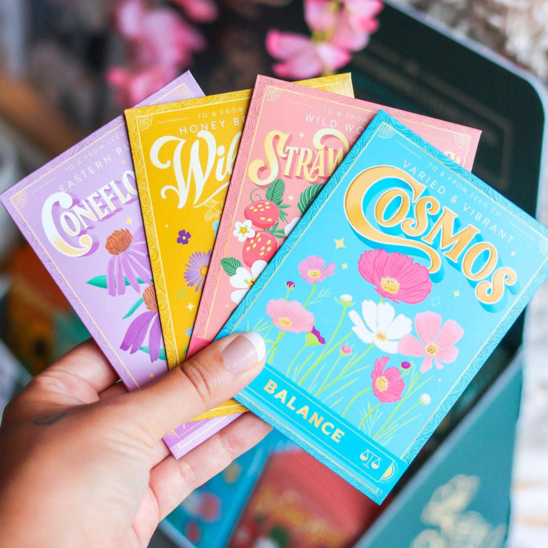 Purple Coneflowers (Healing) Seed Packet