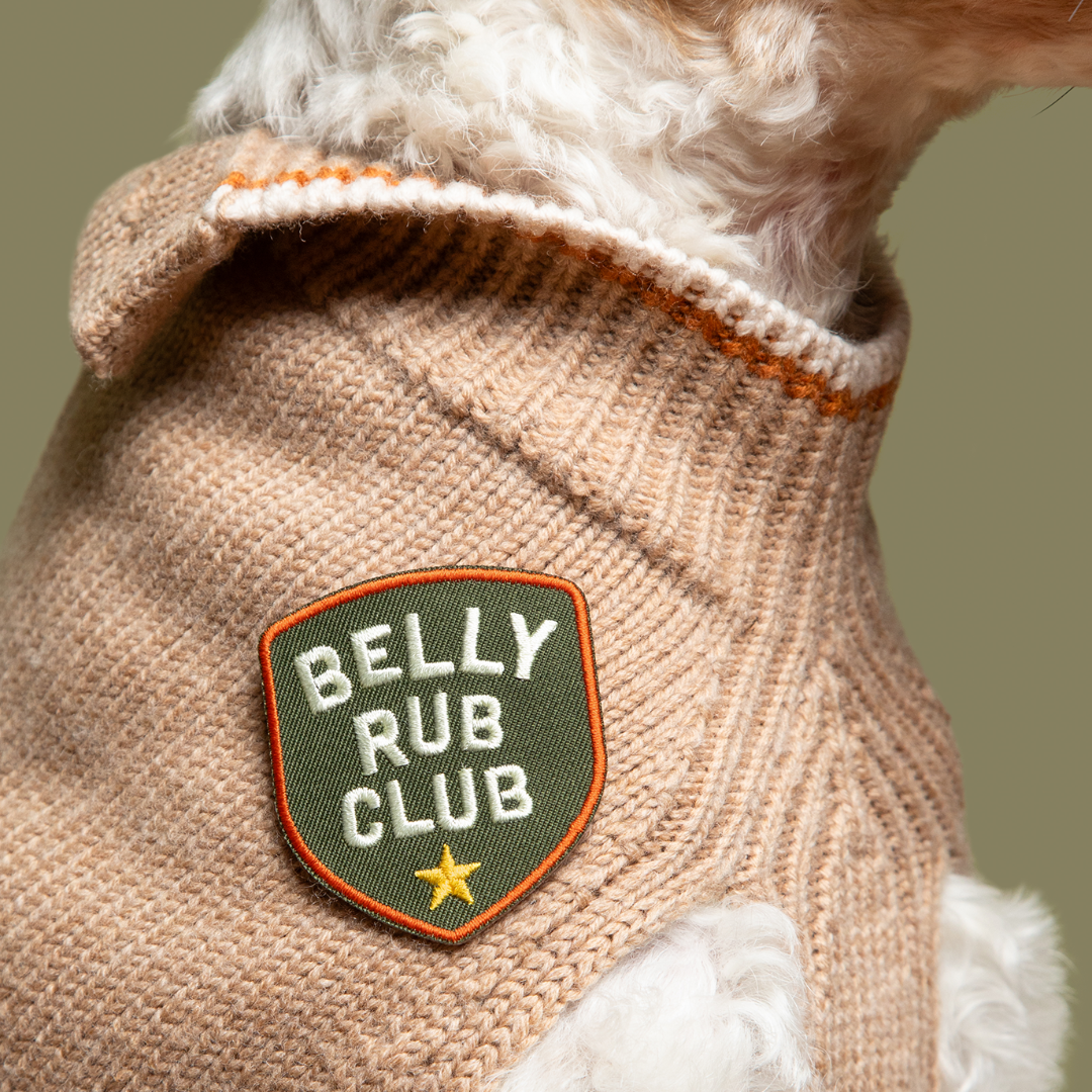 Dog wearing a sweater with a 'Belly Rub Club' patch on a green background
