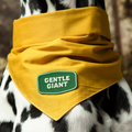 Yellow bandana with a 'Gentle Giant' patch on a Dalmatian dog.