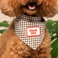 Brown dog wearing a checkered bandana with 'Good Girl' on a neutral background