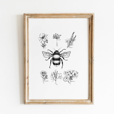 Botanical Bee Illustration
