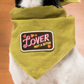 Dog wearing a green bandana with a patch that reads 'Lover Not a Biter' on a wooden floor.