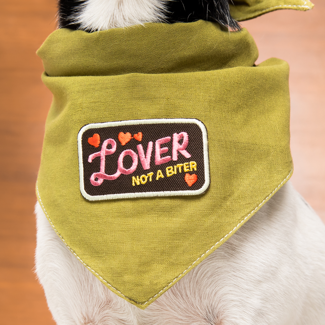 Dog wearing a green bandana with a patch that reads 'Lover Not a Biter' on a wooden floor.