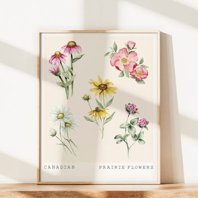 Canadian Prairie Flowers Art Print