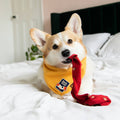 Dog wearing a yellow sweater with a red toy on a bed