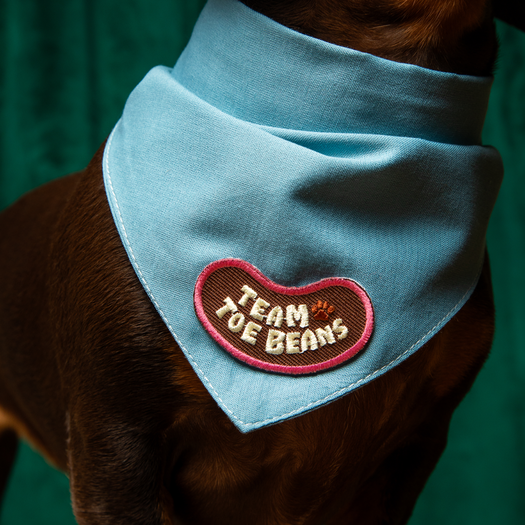 Team Toe Beans iron-on patch for pets