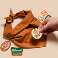 Brown dog bandana with stickers on a beige background