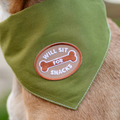 Green dog bandana with a patch on a dog's neck