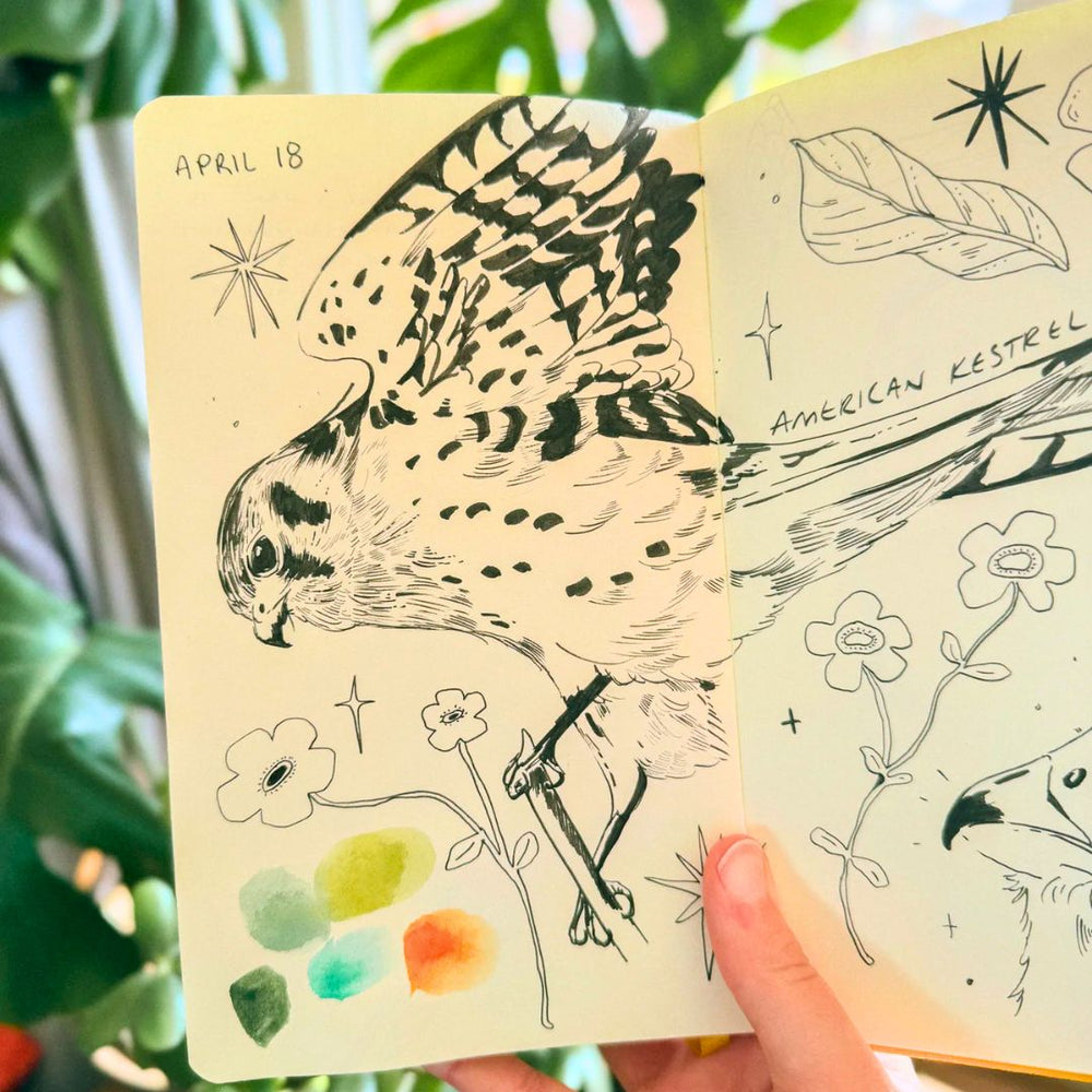 Brush & Bird Paper Co.