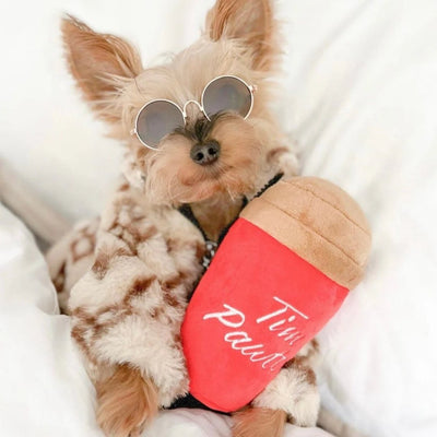 Pawty Animals