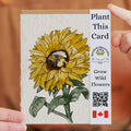 Card with sunflower design and 'Plant This Card' text, held by a person.