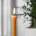 A single, lit beeswax candle with a warm yellow flame. The candle is placed on a surface in front of a blurred background with a plant and a window.