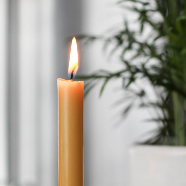 A single, lit beeswax candle with a warm yellow flame. The candle is placed on a surface in front of a blurred background with a plant and a window.