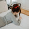 A terracotta-colored scrunchie.