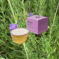 A lavender and peppermint scented candle shown with its lavender-colored packaging box, set against a background of green rosemary plants with purple flowers.