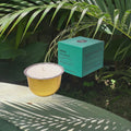 A yellow candle in a metal cup sits beside a turquoise product box labeled Sage & Spearmint, placed outdoors on a stone surface with palm leaves and dappled sunlight in the background.