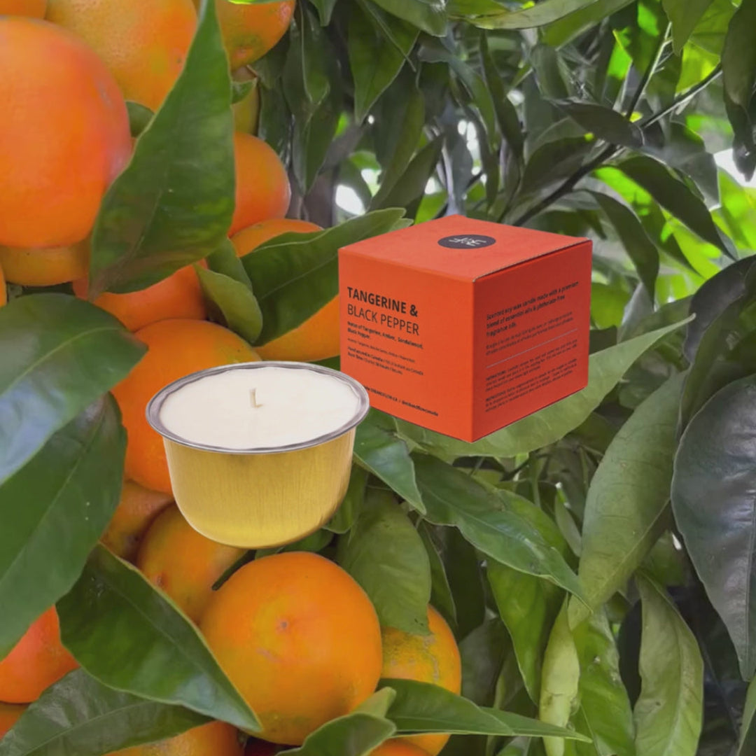 A small white candle in a clear glass cup with a wick, shown alongside its bright orange box labeled 'TANGERINE & BLACK PEPPER' amidst oranges and green leaves.