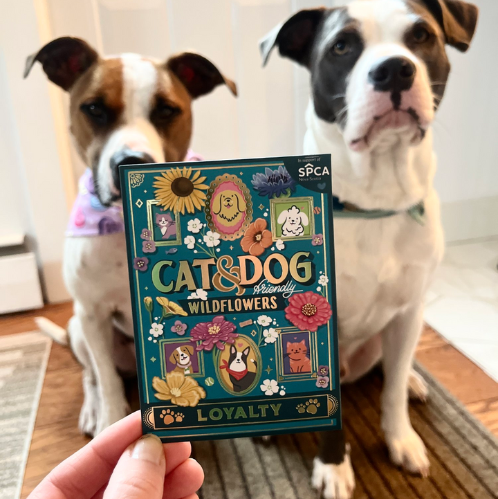 Cat & Dog-friendly Wildflowers Seed Packet