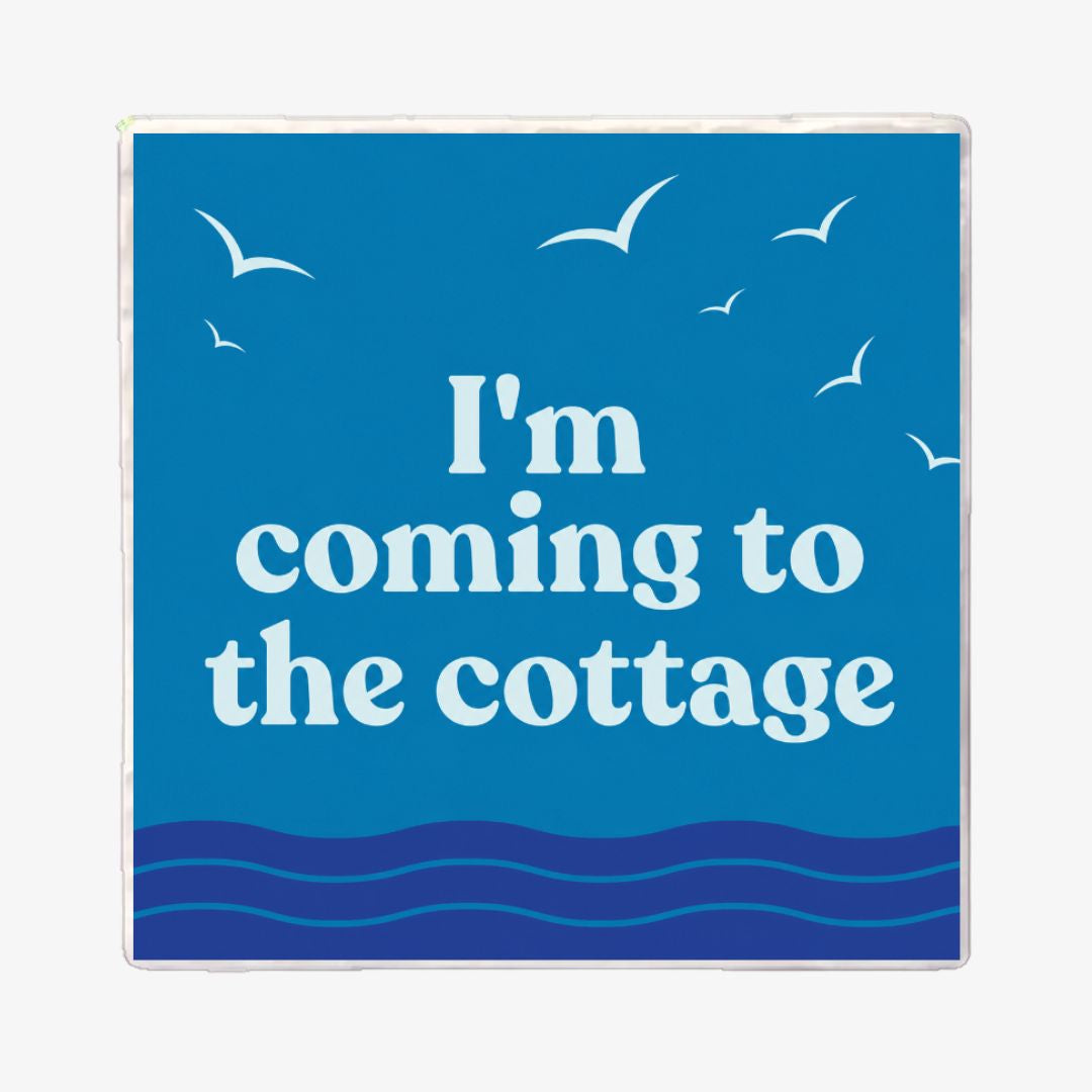 A square decorative sign or print with a blue background, white seagull silhouettes, and the phrase “I'm coming to the cottage” in large white text. The bottom edge includes stylized blue wave lines.