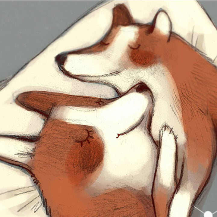Corgis in Love card