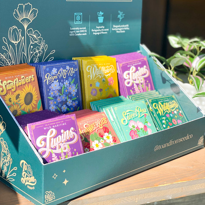 Sunflowers (Friendship) Seed Packet