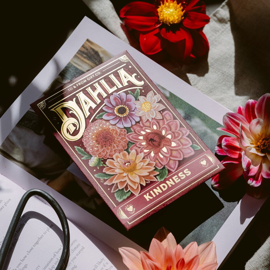 Dahlia (Kindness) Seed Packet