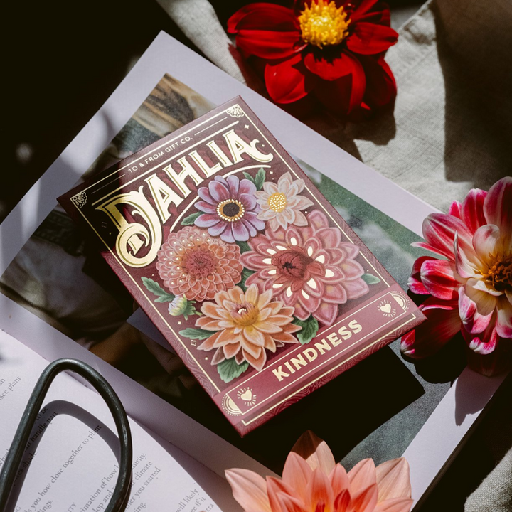 Dahlia (Kindness) Seed Packet