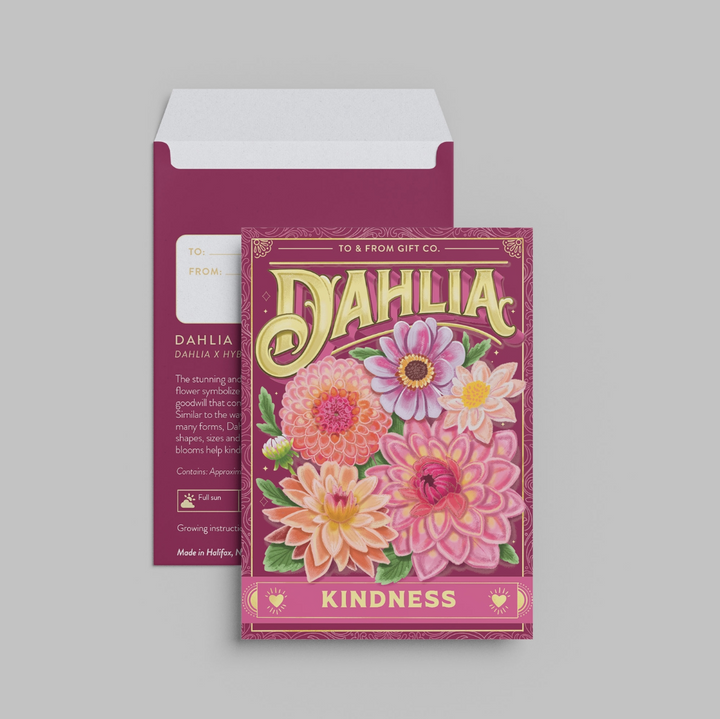 Dahlia (Kindness) Seed Packet