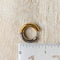 Two-tone chunky hoop huggie earrings (gold and silver) by agaveh girl, displayed on a branded card with the text 'agaveh girl,' against a textured background. The earrings are 4mm thick, made of stainless steel, and are sold in Ottawa, Ontario, Canada