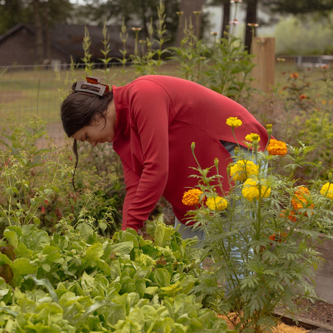 A woman in a red long-sleeve shirt gardening in a raised garden bed filled with green lettuce and yellow-orange marigolds, with trees in the background.