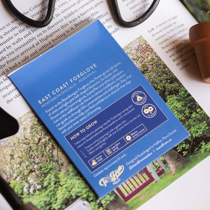 East Coast Foxglove (Intuition) Seed Packet