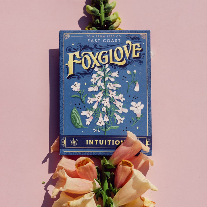 East Coast Foxglove (Intuition) Seed Packet