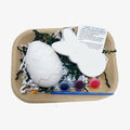 Craft kit with bunny shapes, paint supplies, and instructions on a white background