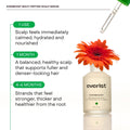 Everist Everboost Multi-Peptide Scalp Serum with a red flower on a white background