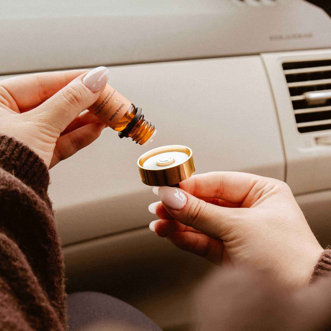 Fall/Winter Scented Oils Discovery Kit