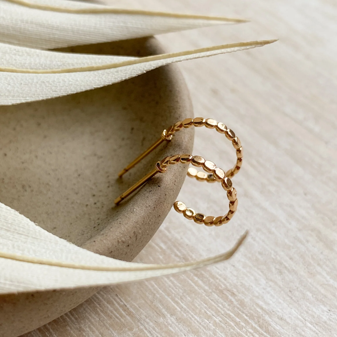 A pair of Agaveh Girl Delia Gold Plated Brass Hoops, featuring a textured, dotted design, displayed on a textured stone surface with dried floral accents. The earrings are dainty and gold, available in Ottawa, Ontario, Canada.