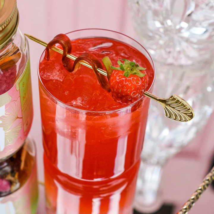 Strawberry Rhubarb Cocktail Infusion Kit