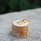 Open Circle Studs / Gold