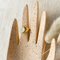 Celestial Ring