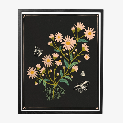 Pink Daisies Framed Art Print, a black art print of pink flowers with two white butterflies in a black frame.