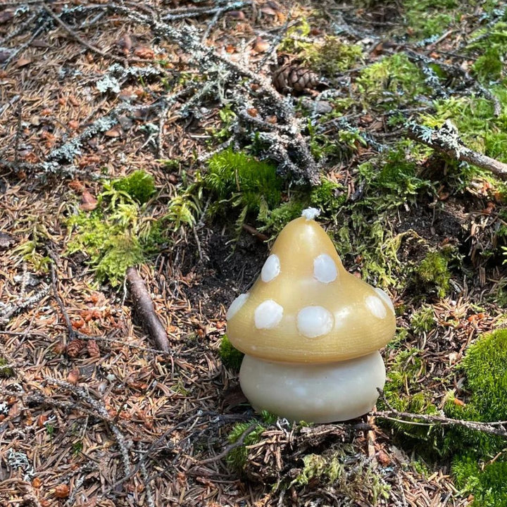 Beeswax Toadstool Mushroom Candle